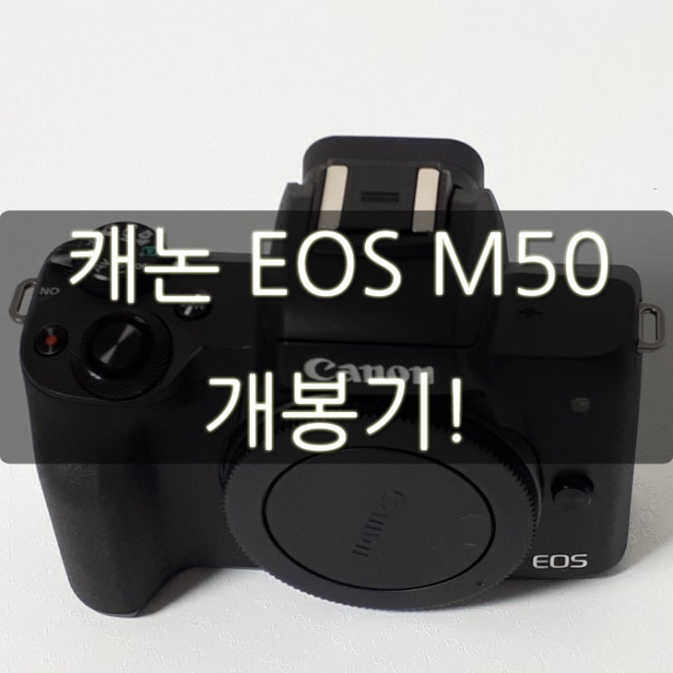  캐논EOSM50 카알못의 미러리스 카메라 개봉기!