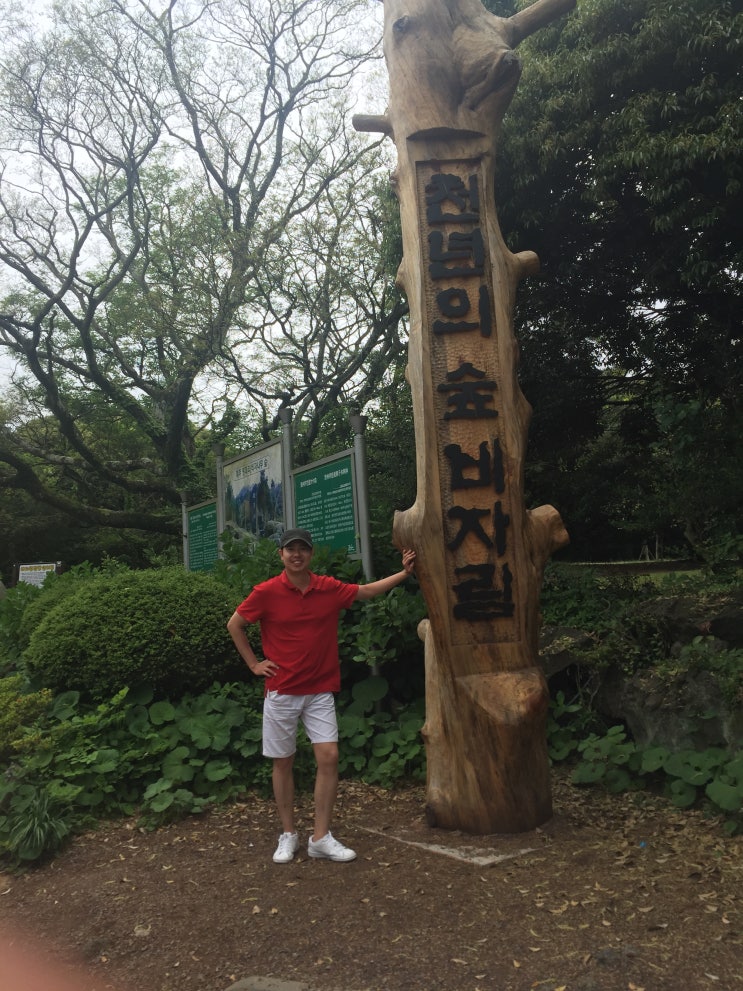  제주도 동부 여행지 추천! 비자림 부모님도 참 좋아하세요