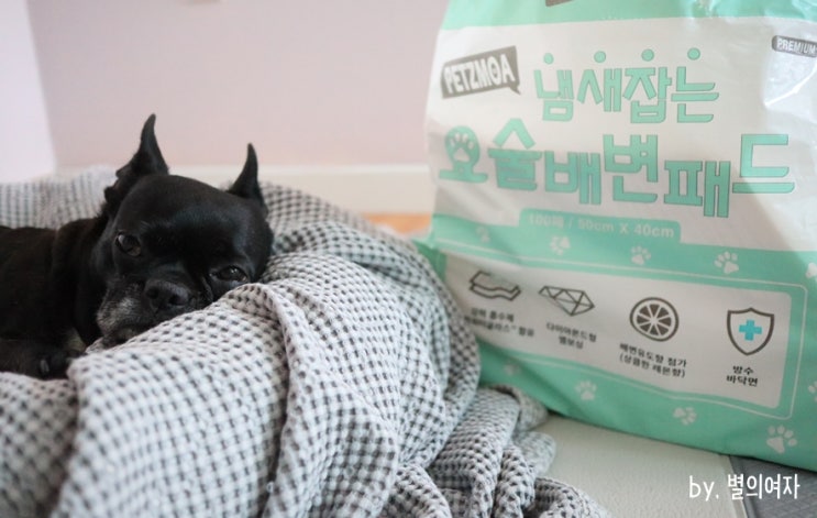  강아지패드추천 페츠모아 요술배변패드 냄새싹~