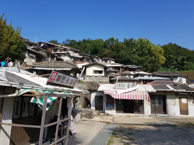  [전라도여행-부산에서전주까지]두번째,순천편-순천만국가정원,순천드라마촬영장,꼬막(4박5일 진주-순천-여수-남원-전주)