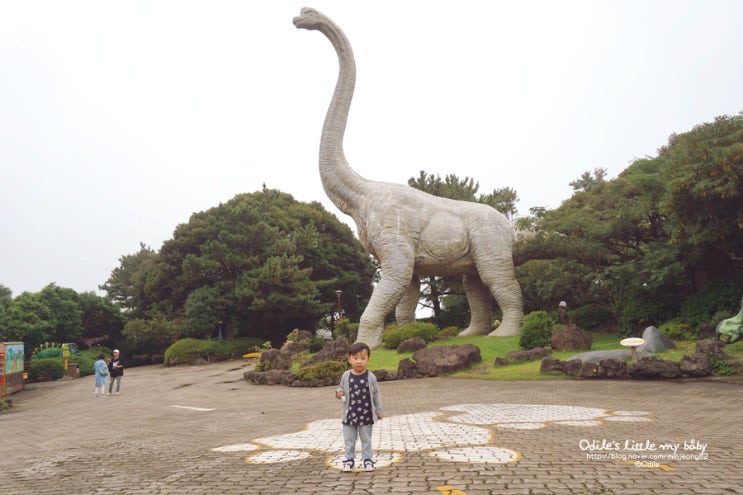 아이와 함께 제주여행: 이호테우해변/ 제주도 공룡 랜드