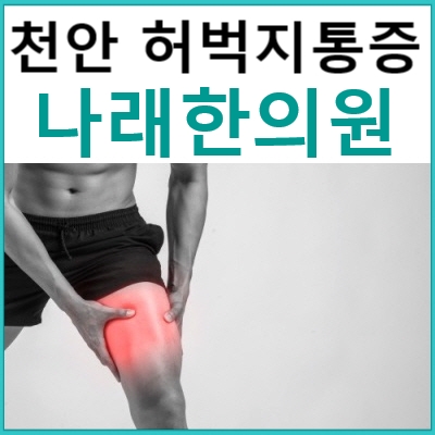  신부동 한의원 : 허벅지 통증의 분류와 치료 : 천안 다리통증 병원 나래한의원