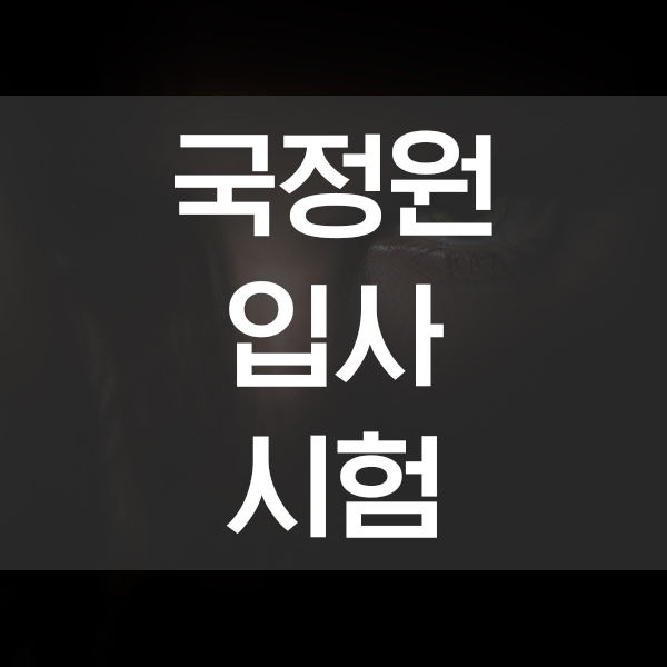  국정원 시험, 넌 누구니?