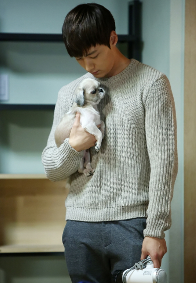 최진혁 열애 강아지는?