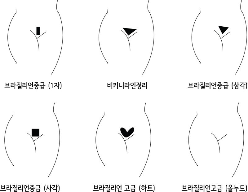ë¶€ì²œë¸Œë¼ì§ˆë¦¬ì–¸ì™ì‹± ì™ì‹±ì¢…ë¥˜ ì•Œì•„ë³´ê¸° ë„¤ì´ë²„ ë¸