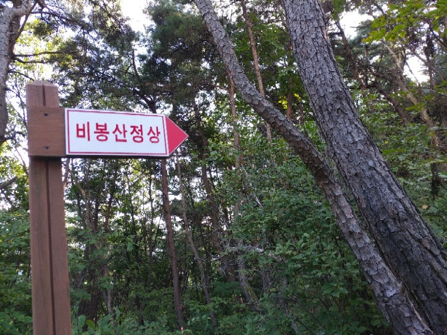가족과함께 등산? 현장 사진 3