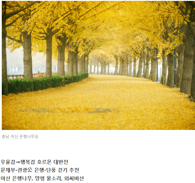 가을, 타지 말고 걷자..10월 걷기여행길 7선 : 네이버 블로그