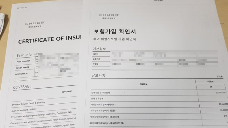  [D-5] 이탈리아여행준비 :: 해외여행자보험 가입 / 에이스손해보험 여행자보험 / 해외여행보험 / 고급형