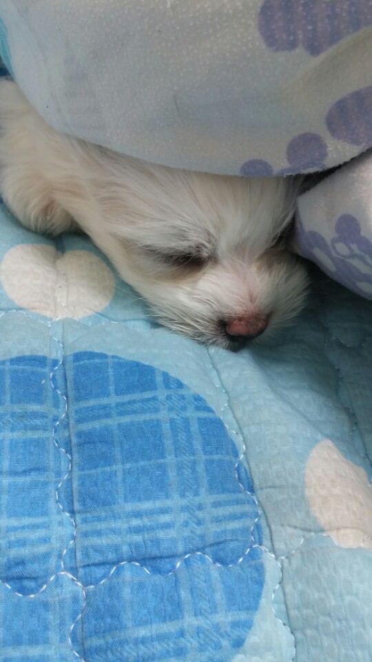  우리집 둘째