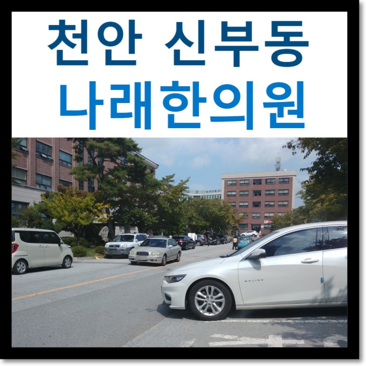 신부동 교통사고 한의원 : 가해자의 책임보험 유한배상 상황은 어떻게 해야하나 : 천안 자동차사고 병원 칼럼