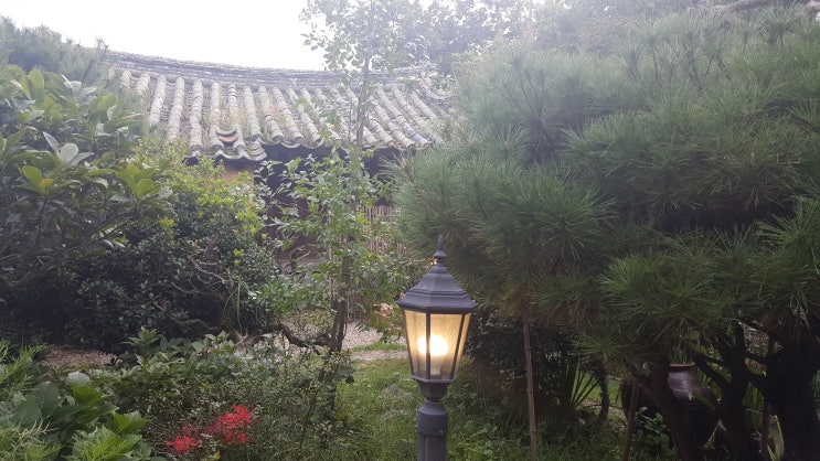  #경주교촌마을 #경주전통찻집 #고운님오시는길