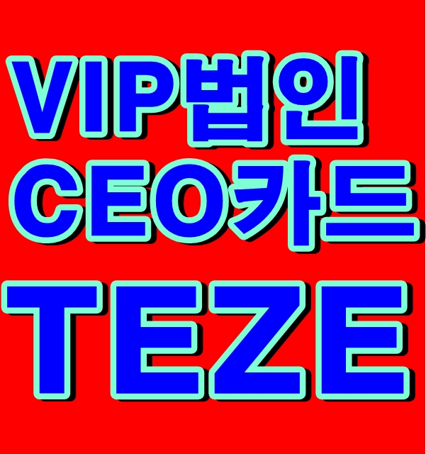 VVIP 법인CEO카드/KB국민 태제(TEZE)VISA Infinite법인카드