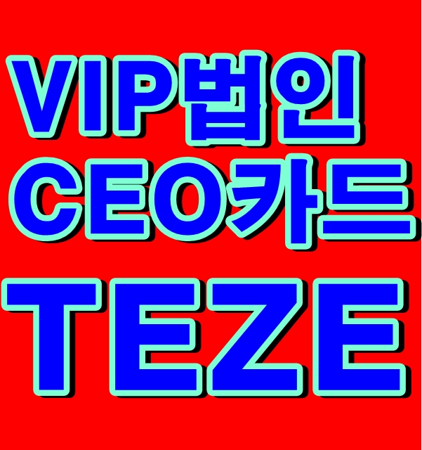  VVIP 법인CEO카드/KB국민 태제(TEZE)VISA Infinite법인카드