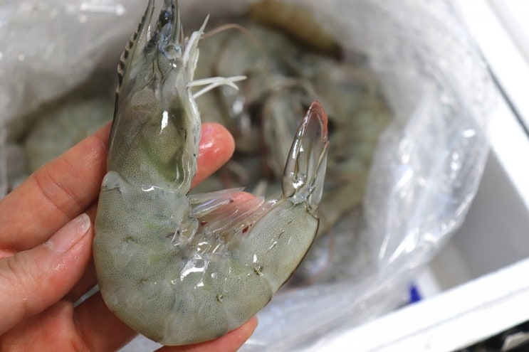  참진수산 대하 가격 1kg 27.000원 새우오븐구이,대하구이,새우라면 집에서 받아 맛나게 먹음