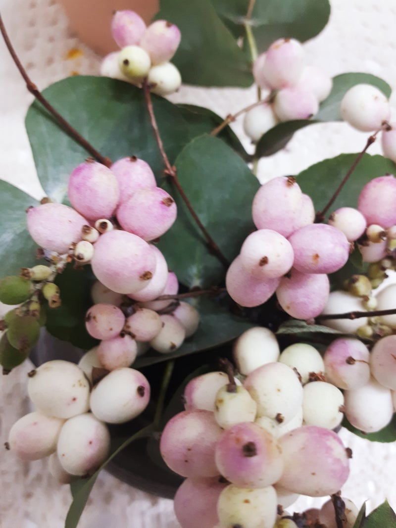 8일 세렝게티 조류 관찰 체험, image size:800x1067