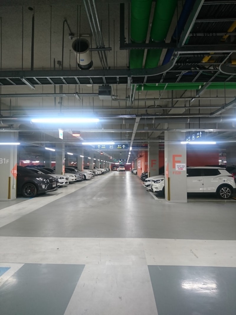 데카트론 송도점(feat 성인용킥보드 구매기 oxelo9) : 네이버 블로그