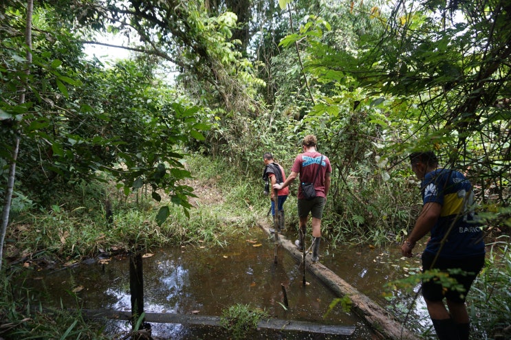 페루 여행 | 이키토스 아마존 2박 3일 정글 투어 마지막날