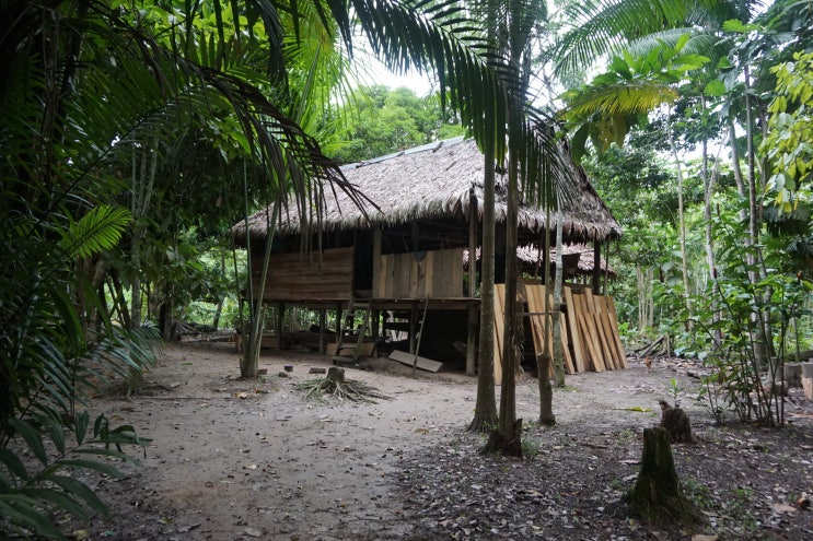 페루 여행 | 아마존에서 수영하기