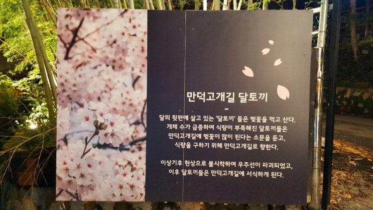  크린라이프&줄눈시공전문업체//부산만덕고개길달토끼를아시나요~?[양산청소업체]