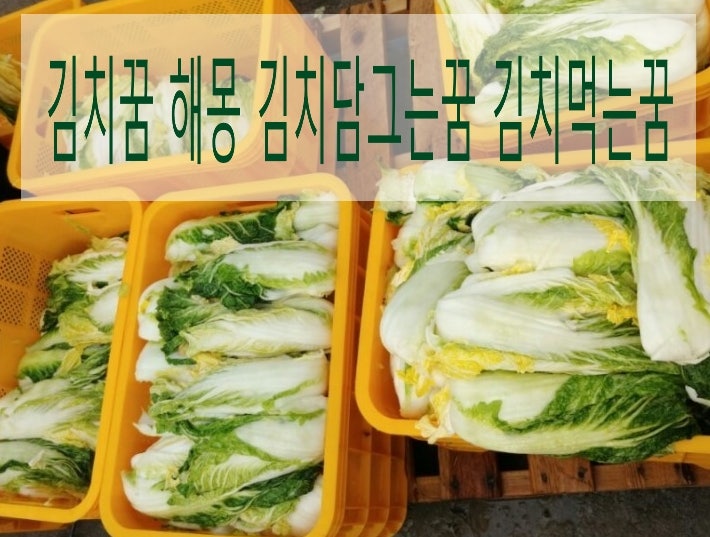 김치꿈 해몽 김치먹는꿈 담그는꿈 총정리해봐요!