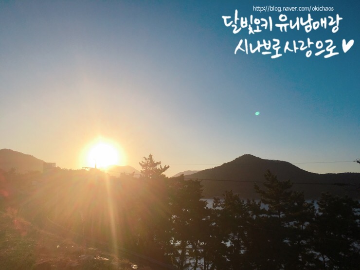  2018년 무술년 삼재~를 피하고 싶었어! 호랑이띠, 말띠, 개띠의 비애 또는 희망?