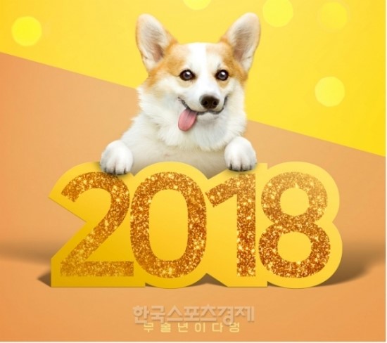 '황금개띠해' 묻지도 따지지 않고 반려견 보험…"슬개골 보장 안되잖아? '황금개띠해' 묻지도 따지지 않고 반려견 보험…"슬개골 보장 안되잖아?