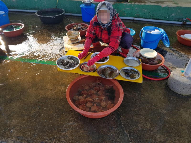 오륙도초장횟집 이미지