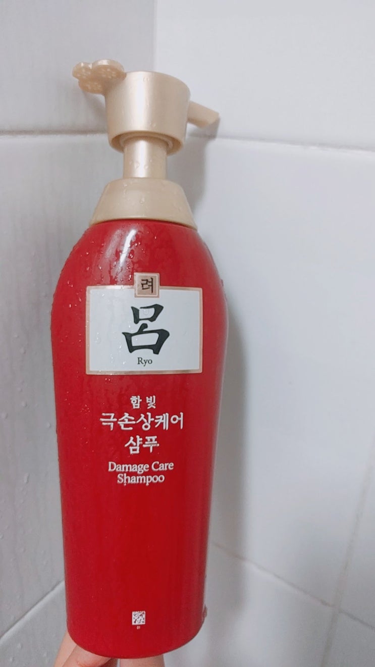  [매일매일 버리기]D+33_샴푸