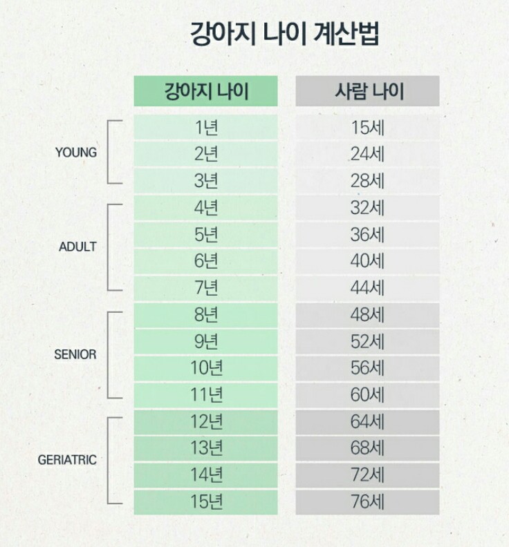  강아지 나이 / 강아지 수명