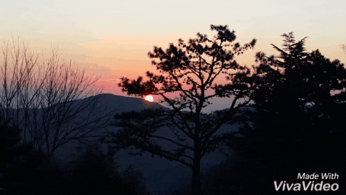  2018.01.01 생에 첫 해돋이를 보다