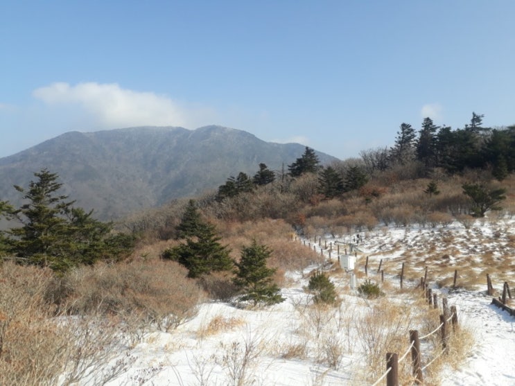  지리산 화엄사-노고단대피소(1박)-피아골