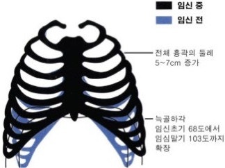 산후늑골벌어짐/산후늑골관리/산후늑골마사지/대구산후마사지/대구칠곡산후마사지/ : 네이버 블로그