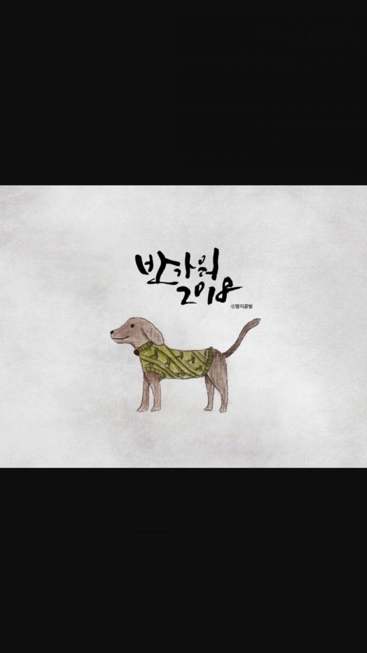  비누와 꼬물이