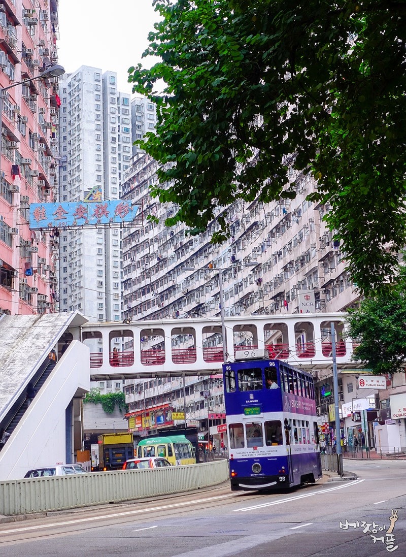 홍콩여행 코스에 꼭 넣기! 이곳이 레알 홍콩이니까! (feat. 익청빌딩) : 네이버 블로그