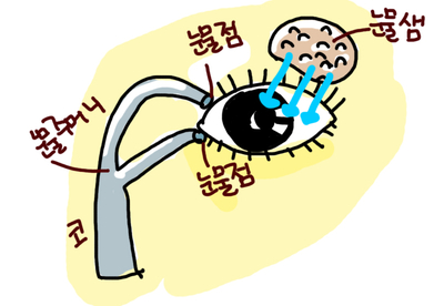 눈꼽이 자꾸 껴요. 신생아 아기 눈꼽. 눈물길 마사지 눈꼽이 자꾸 껴요. 신생아 아기 눈꼽. 눈물길 마사지