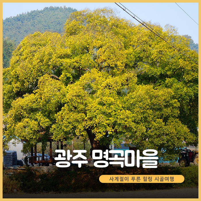  사계절이 푸른 국내 힐링 시골 여행, 광주 명곡마을