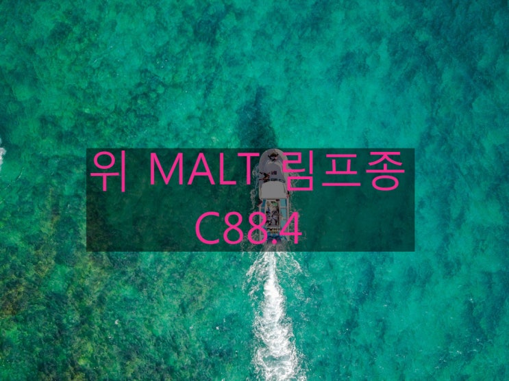  C88.4 위 말트(MALT) 림프종(lymphoma) 보험사 의료자문 위염(k29)로 CI보험 거절?
