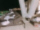 히든클리프 맛집,히든클리프 가든뷰,히든클리프 클리프뷰,히든클리프 제주도,히든클리프 인스타,히든클리프 풀파티,히든클리프 조식,히든클리프 매각,히든클리프 수영장,히든클리프 제주,