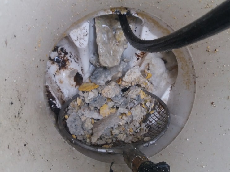  구미하수구 외국인 기숙사 하수구고압세척
