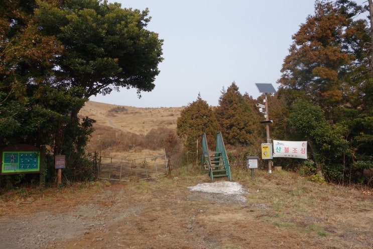 영주산 제주 알프스