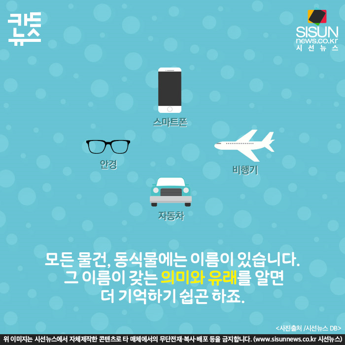 이태리 타올엔 왜 이태리가 없지?