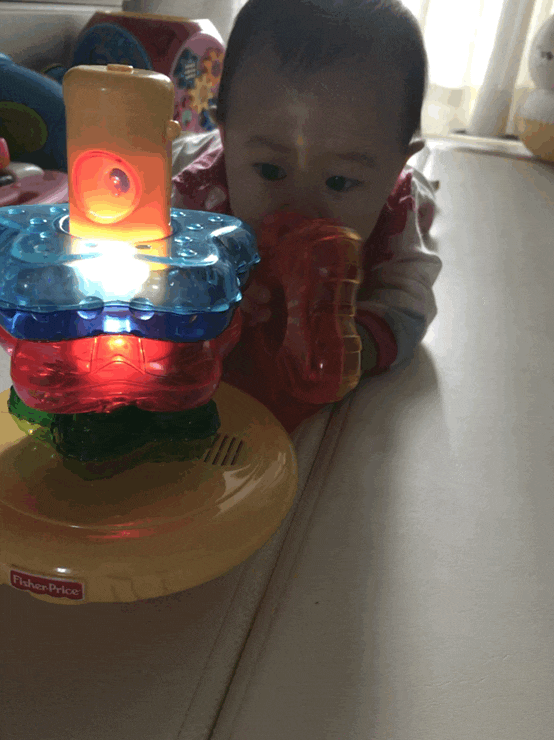  생후 215일 과즙망 배먹기 /소고기무미음3일차
