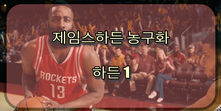  제임스하든 농구화 하든1(Harden vol.1) 후기