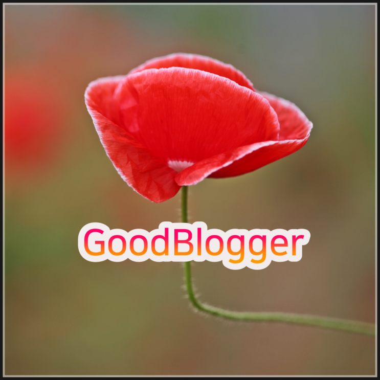 좋은 블로거가 되고 싶다