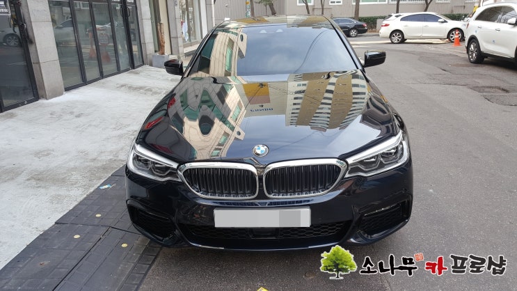 BMW 520D G30 순정형 하이패스 장착