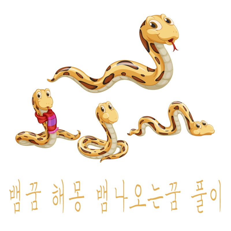 뱀꿈 뱀이 나오는 꿈 뱀에게 물리는 죽이는 꿈 노란뱀 꿈 태몽
