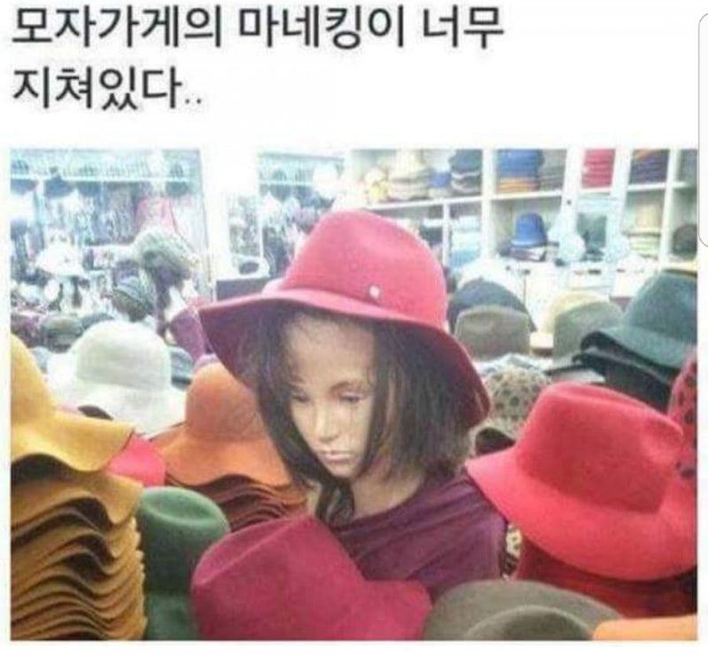 웃긴글 웃긴사진 웃긴짤 모음 ㅋㅋ : 네이버 블로그