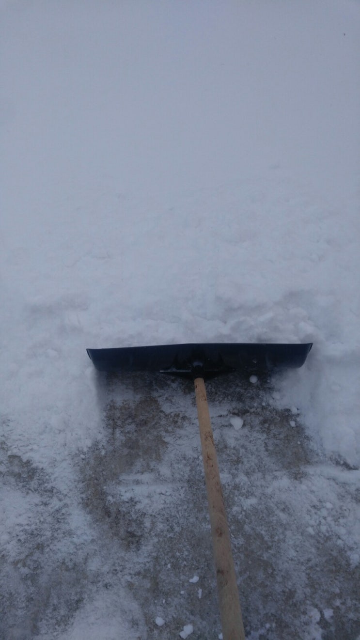 산골에 또 밤사이 눈이 왔어요.