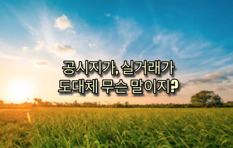  [부동산] 공시지가,실거래가 도대체 무슨 말이지?