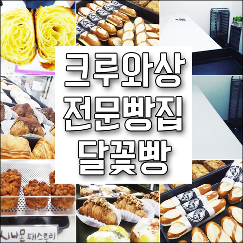 양주 빵집-매일 매장에서 구워내는 1인빵집 크루아상 전문점 달꽃빵, 크루아상이 맛있는 착한 빵집